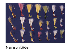 Maifischköder