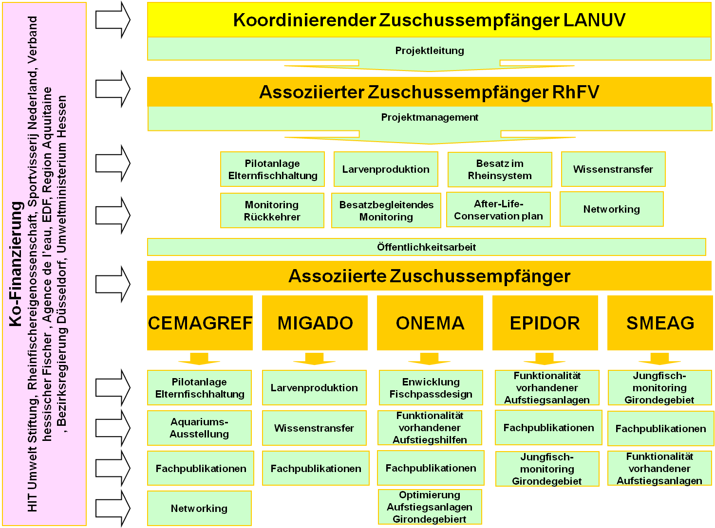 Organigramm