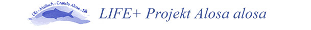 The allis shad project logo