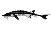 IUCN Sturgeon Specialist Group