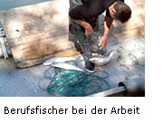 Berufsfischer bei der Arbeit