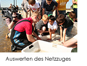 Auswerten des Netzzuges. Foto: E. Braun